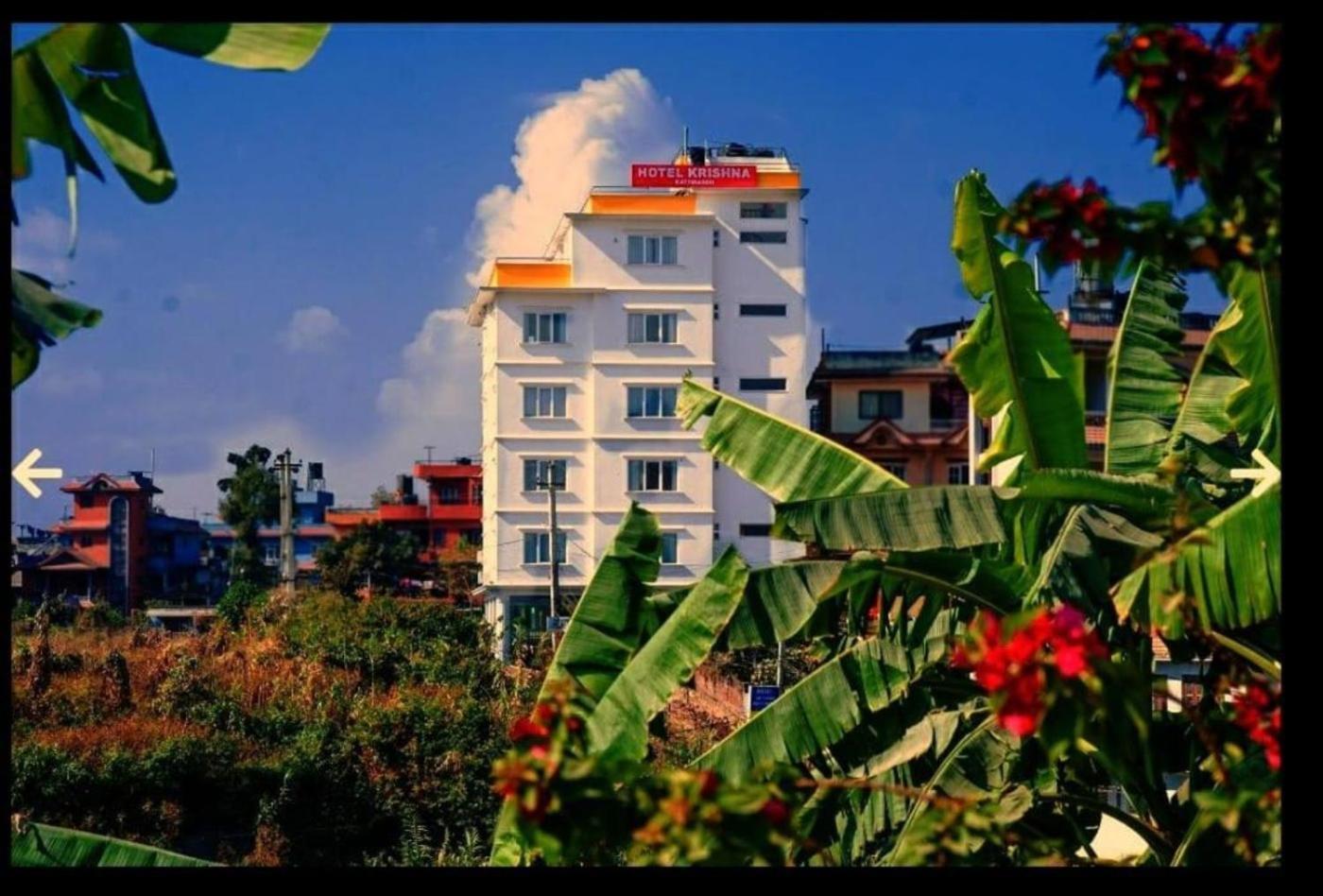 Hotel Krishna 加德满都 外观 照片